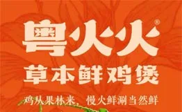 粤火火草本鲜鸡煲加盟
